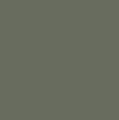 خاکستری بتنی (رال 7023)